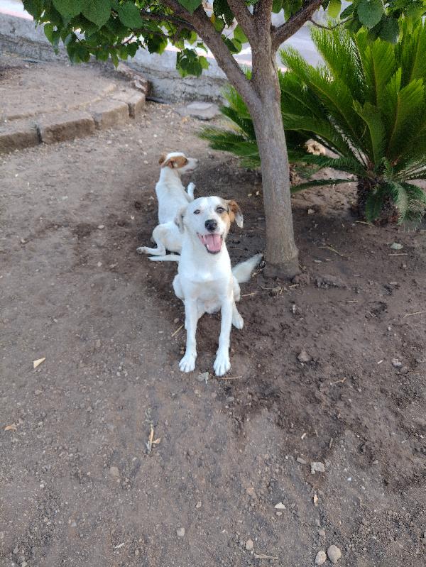 Ciao a tutti da Robin (Catania) Foto 3